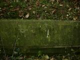 image of grave number 13397